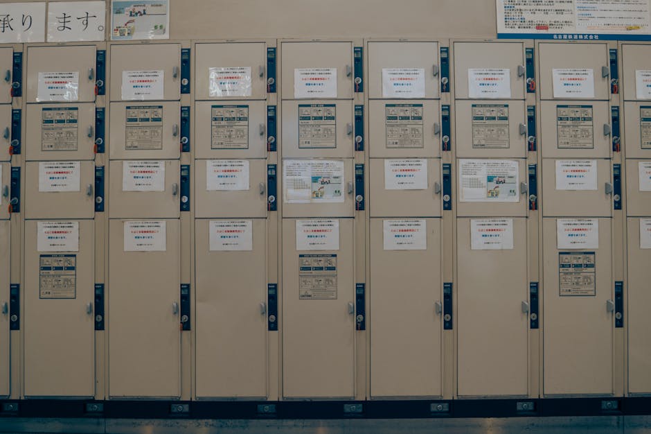 Szafki uczniowskie – systemy przechowywania w szkole